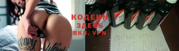 хмурый Алзамай