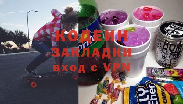 хмурый Алзамай