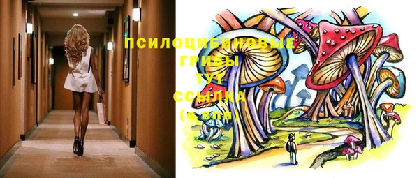 хмурый Алзамай