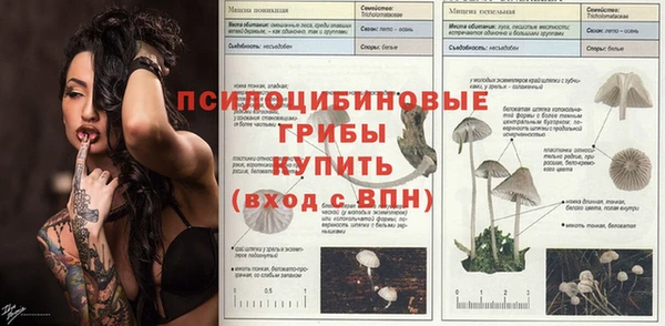 прущая мука Алексин
